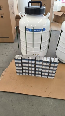 کیفیت  Portable Liquid Nitrogen Dry Shipper – Safe Transport of Cells and Tissues کارخانه