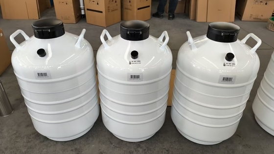 حمل کننده خشک فاز بخار ️ ظرف حمل نیتروژن مایع برای نمونه های آزمایشگاهی 35L